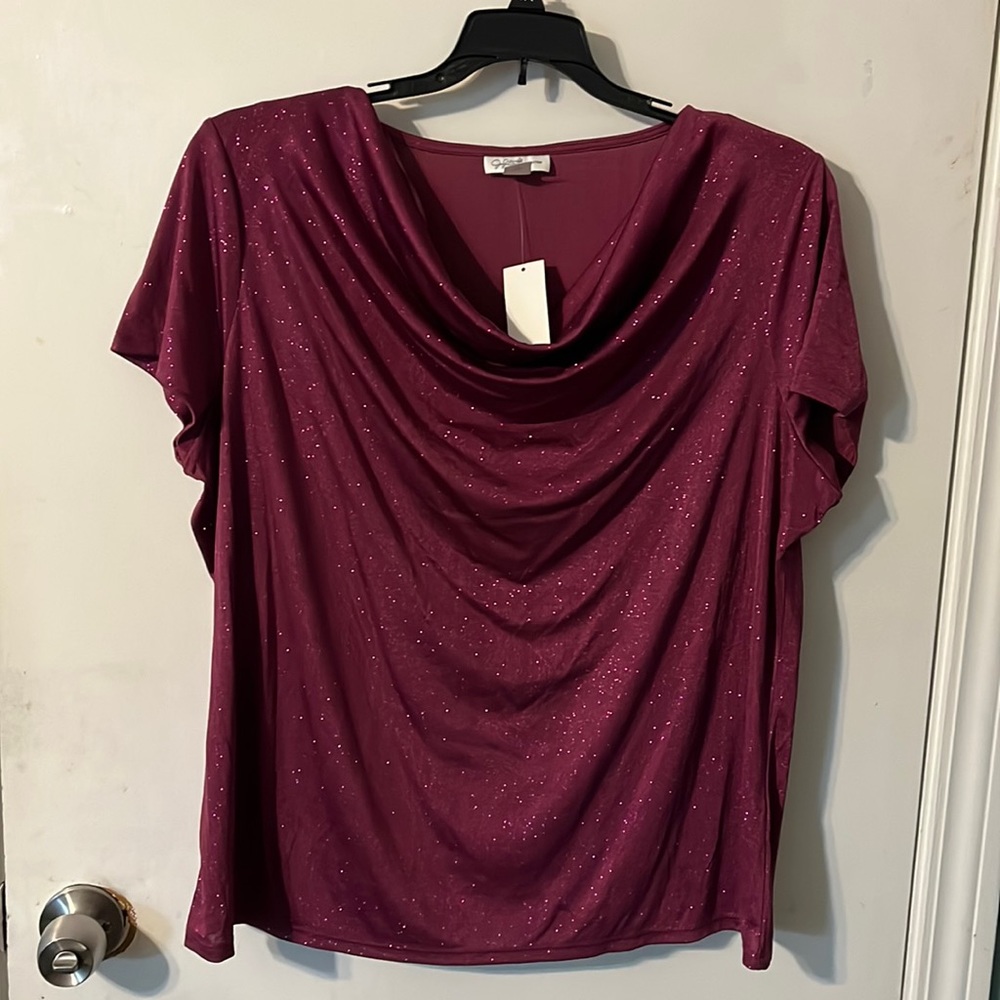 Beautiful blouse , color great for holidays, new